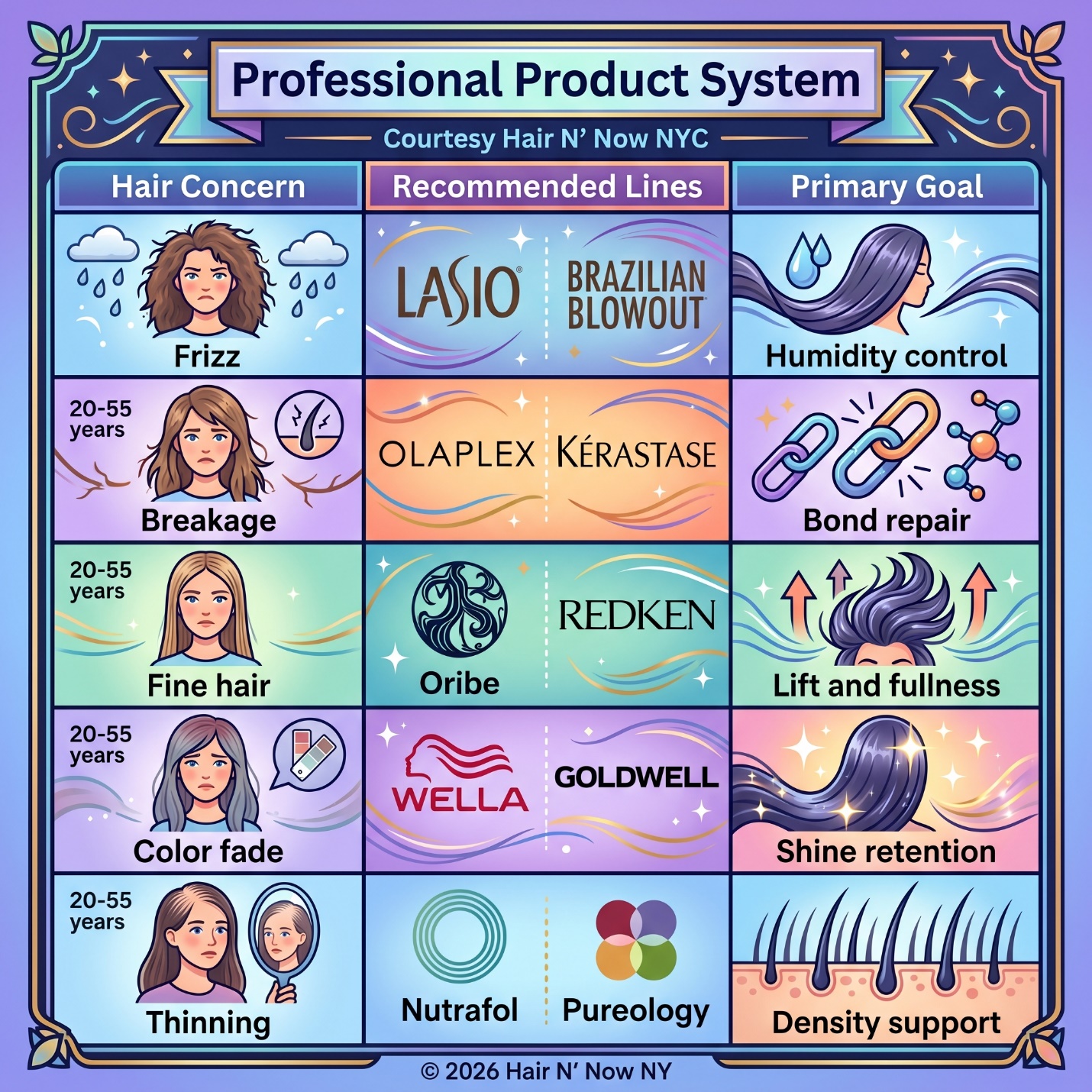 Professional product system infographic for frizz, breakage, fine hair, color fade, and thinning support.