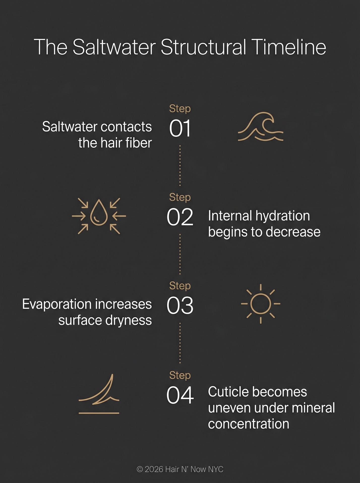 The Saltwater Structural Timeline infographic showing saltwater contact, hydration decrease, evaporation, and uneven cuticle mineral concentration.