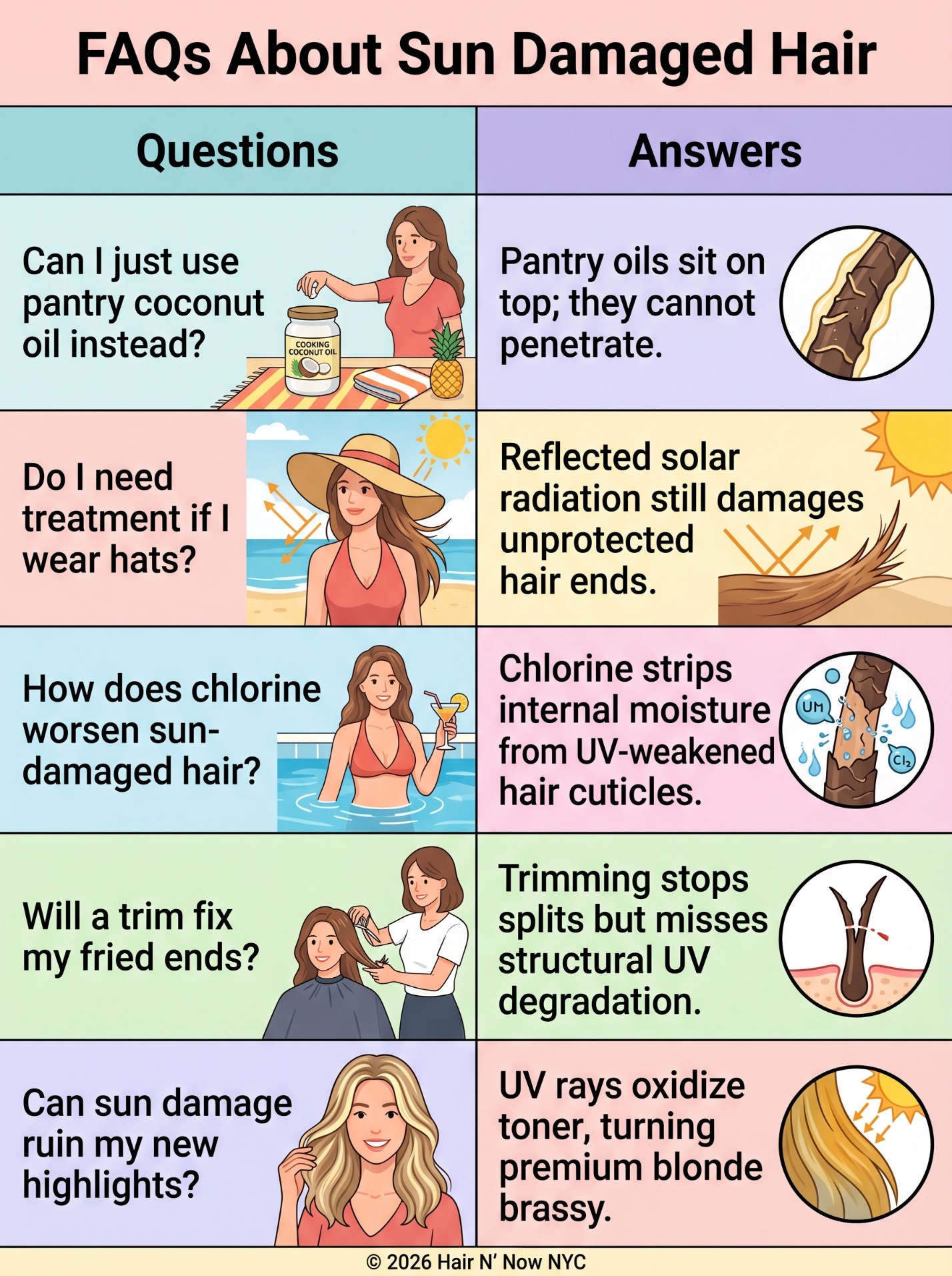 FAQ infographic about sun damaged hair, coconut oil, hats, chlorine, fried ends, and new highlights.