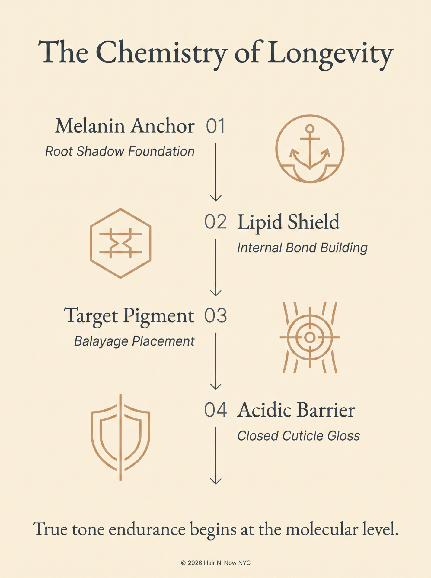 The Chemistry of Longevity infographic explaining melanin anchor, lipid shield, target pigment, and acidic barrier for summer color.