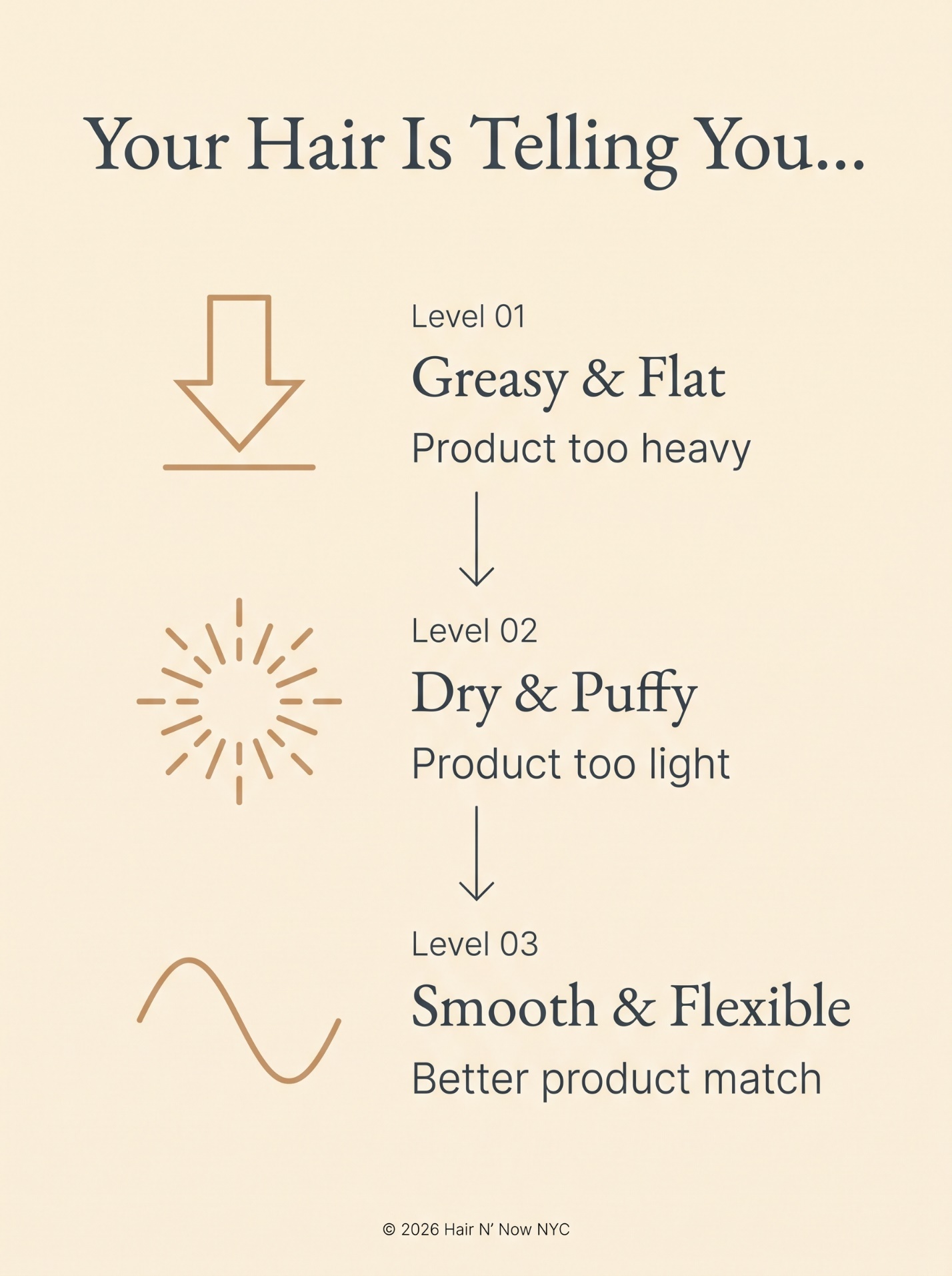 Anti-frizz product compatibility infographic showing greasy and flat, dry and puffy, and smooth and flexible product match signals.