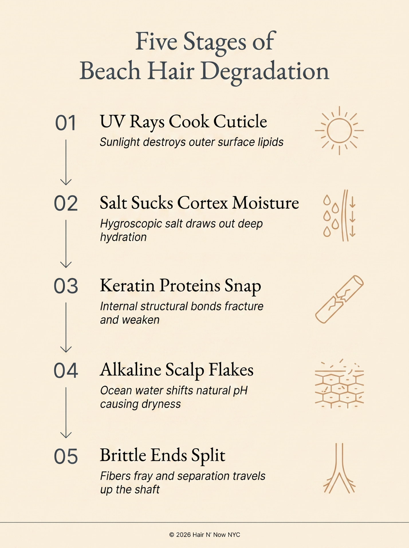 Five Stages of Beach Hair Degradation infographic covering UV damage, salt moisture loss, keratin weakening, scalp pH shift, and split ends.