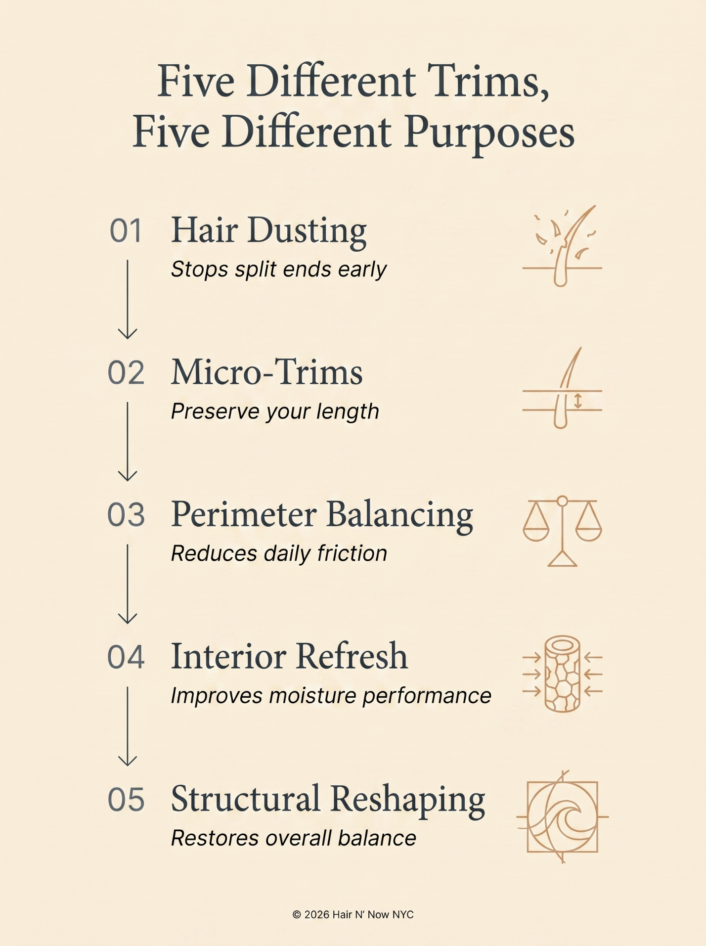 Five Different Trims Five Different Purposes infographic covering hair dusting, micro-trims, perimeter balancing, interior refresh, and structural reshaping.